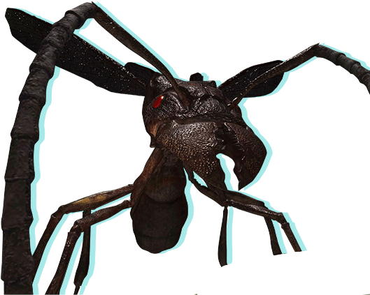 生物